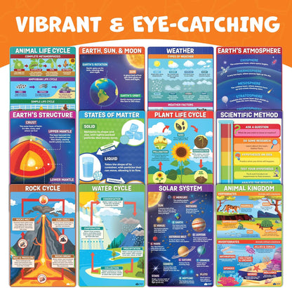 Science Posters for Classroom Middle School Elementary School - 12pc Science Classroom Decor Must Haves Posters Decorations - 17” x 11” - Scientific Method, Solar System, Matter, Animal Kingdom