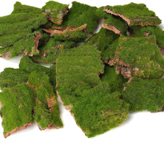 BYHER Assorted Artificial Moss Bark, Decorative Mossy Tree Bark for DIY Crafts, Fairy Gardens, Terrariums, Floral Arrangements (Realistic Green - 100gr) - Crafty Corner