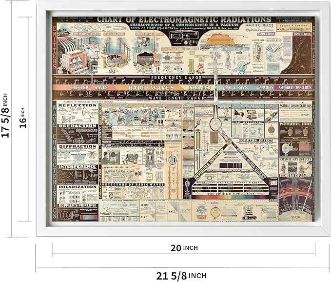Poster Master Science Canvas - Chart of Electromagnetic Radiations Print - Electric Waves Art - Gift for Teacher, Student - Great Decor for Classroom, Library, Dorm - 16x20 White Framed Canvas