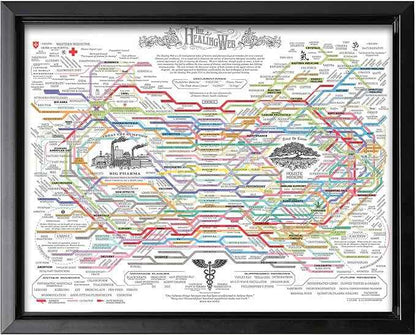 Poster Master The Healing Web Canvas - Health Diagram Print - Therapy Art - Holistic Wall Design - Pharmacological Remedy Art - Great Living Room or Office Decor - 12x16 Black Framed Canvas