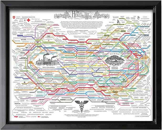Poster Master The Healing Web Canvas - Health Diagram Print - Therapy Art - Holistic Wall Design - Pharmacological Remedy Art - Great Living Room or Office Decor - 24x32 Black Framed Canvas