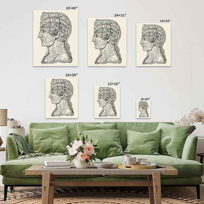 Poster Master A Symbolic Head Phrenology Print 1899 - Phrenology Canvas, Fine Art Print of a Scientific or Pseudoscience Academia Medical Illustration - 24x32 Black Framed Canvas