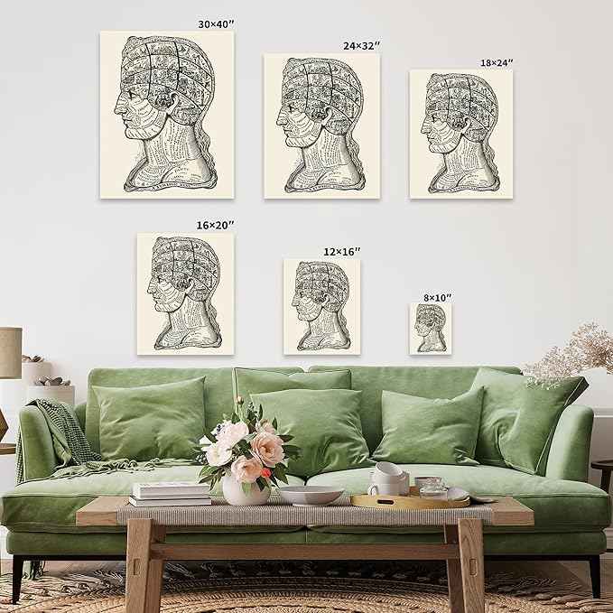 Poster Master A Symbolic Head Phrenology Print 1899 - Phrenology Canvas, Fine Art Print of a Scientific or Pseudoscience Academia Medical Illustration - 24x32 Gold Framed Canvas