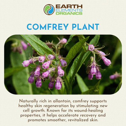 Comfrey Oil Raw with Sunflower Oil, Infused, Pressed Herbal Remedy, Support for Bruises, Sore Muscles, and Healthy Skin, Organic Skincare for All Skin Types - 1 fl oz