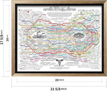 Poster Master The Healing Web Canvas - Health Diagram Print - Therapy Art - Holistic Wall Design - Pharmacological Remedy Art - Great Living Room or Office Decor - 16x20 Silver Framed Canvas