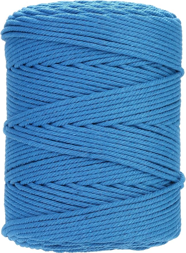 GOHOHOF Macrame Cord 3mm x 546yards Natural Macrame Cotton Rope Colored Macrame Rope Soft Cotton Cord Macrame Supplies Craft Rope Macrame Yarn for Plant Hanger Wall Hanger Dreamcatcher(Dodger Blue)