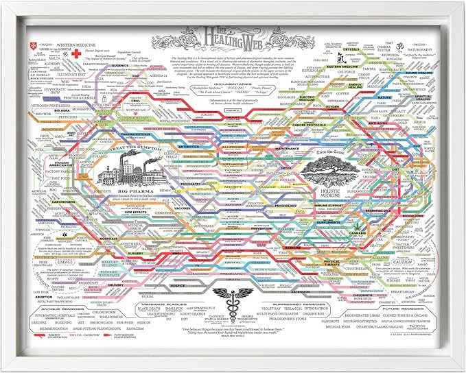 Poster Master The Healing Web Canvas - Health Diagram Print - Therapy Art - Holistic Wall Design - Pharmacological Remedy Art - Great Living Room or Office Decor - 8x10 White Framed Canvas