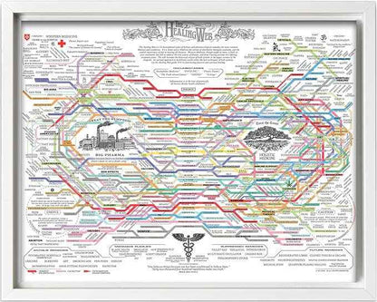 Poster Master The Healing Web Canvas - Health Diagram Print - Therapy Art - Holistic Wall Design - Pharmacological Remedy Art - Great Living Room or Office Decor - 8x10 White Framed Canvas